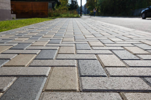 Best Professional Driveway Pavers  in Perryville, MD