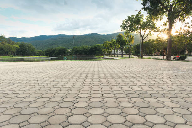 Best Brick Driveway Pavers  in Perryville, MD